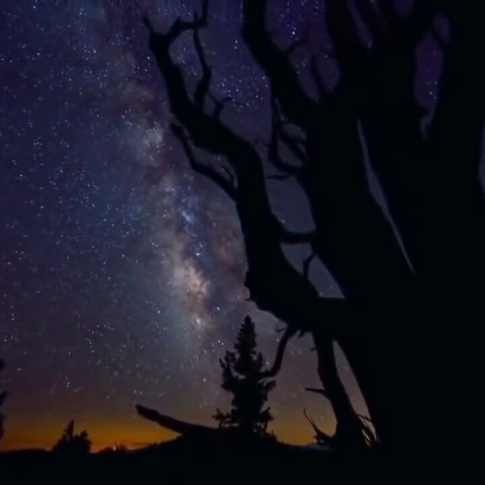 Meet your Posher, Arantza